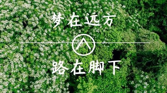 上?？婆d儀器